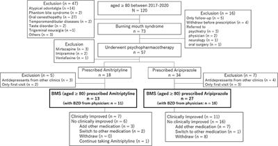 The Effectiveness and Adverse Events of Amitriptyline and Aripiprazole in Very Elderly Patients With BMS